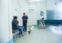 Baths at Crown Vet Khar