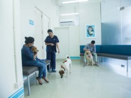 Baths at Crown Vet Khar