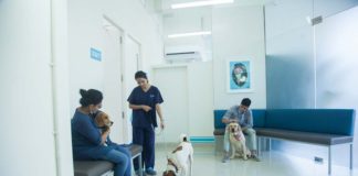 Baths at Crown Vet Khar