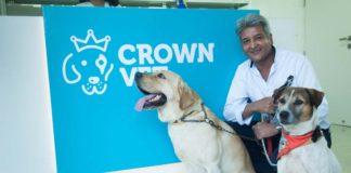 At Crown Vet, your Pet is their Passion