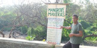 Breathing Life into the Mangroves
