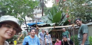 Resident Volunteers Save A Leaf and set up Dream Grove in Bandra