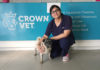 Crown Vet brings onboard Orthopedic Surgeon Dr Madhuri Singh
