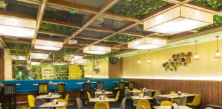 Pan Asian Food, Chill Music & A Comfy Vibe? Elevate Your Dining Experience at Shibuii