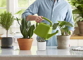 The Green Warriors to Fight Air Pollution