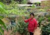 Bandra couple grow over 25 different types of vegetables & fruits on their terrace garden