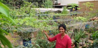 Bandra couple grow over 25 different types of vegetables & fruits on their terrace garden