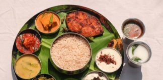 (Curry) Tales of a Tranquil Gastronomic Gem