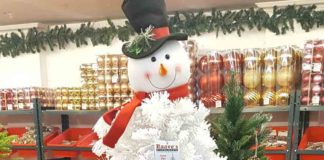 Wondering where to find creative Christmas decorations?