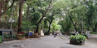 To gate, or not to gate Pali Hill – that is the question