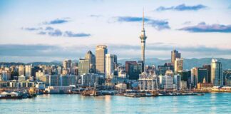 All About Immigration – Bespoke Services to New Zealand Across the Board