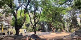 Miyawaki – Urban Forestation of Bandra