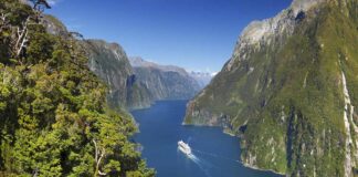 New Zealand – One of a kind world-class education destination