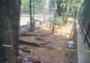 Four detained following gruesome slitting of the throat of a 20-year-old man in Bandra